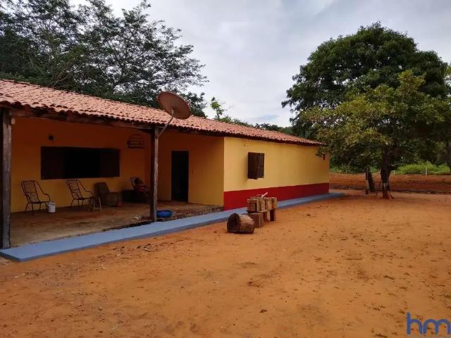 Fazenda venda em Alto Parnaíba, Região Nordeste
