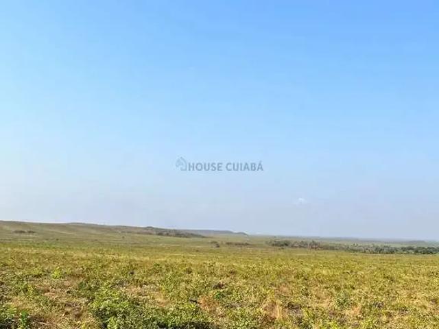 Fazenda venda em Alto Parnaíba, Região Nordeste