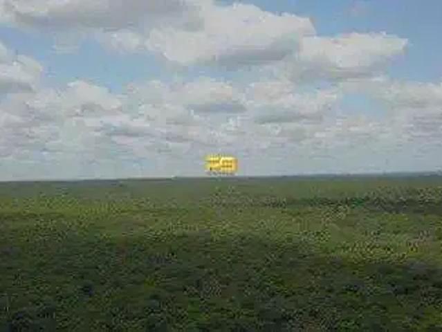 Fazenda venda em Alto Parnaíba, Região Nordeste