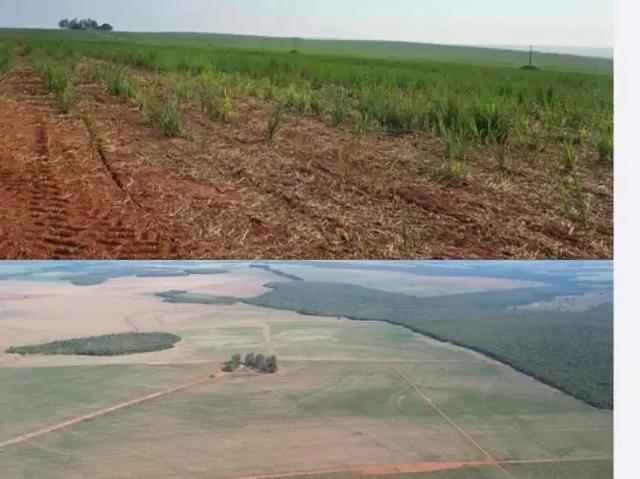 Fazenda venda em Região Geográfica Imediata de Rondonópolis, Alto Taquari
