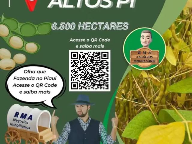 Fazenda venda em Altos, Piauí