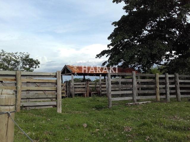 Fazenda venda em Álvaro de Carvalho