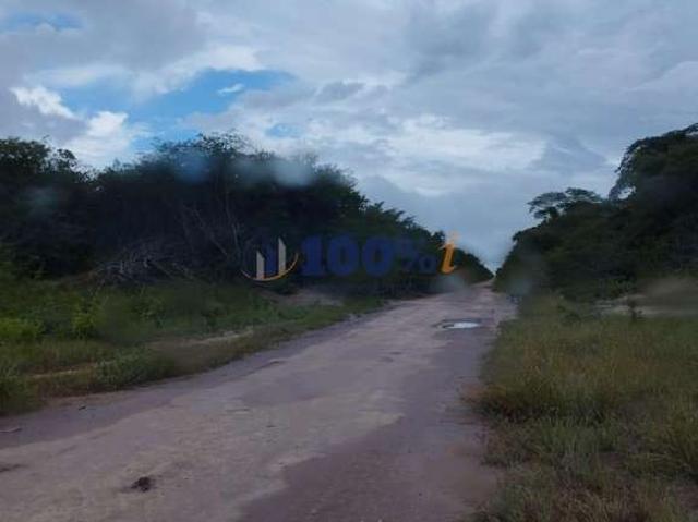 Fazenda venda em Alvorada do Gurguéia, Região Nordeste