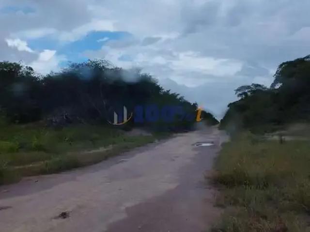 Fazenda venda em Alvorada do Gurguéia, Região Nordeste