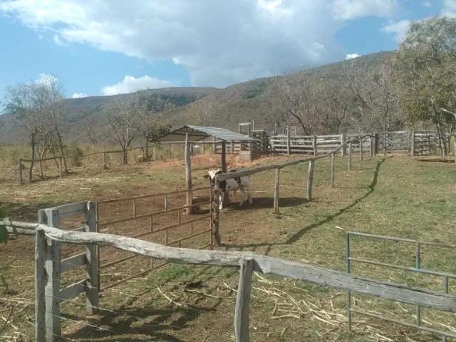 Fazenda venda em Região Geográfica Imediata de Posse-Campos Belos, Alvorada do Norte