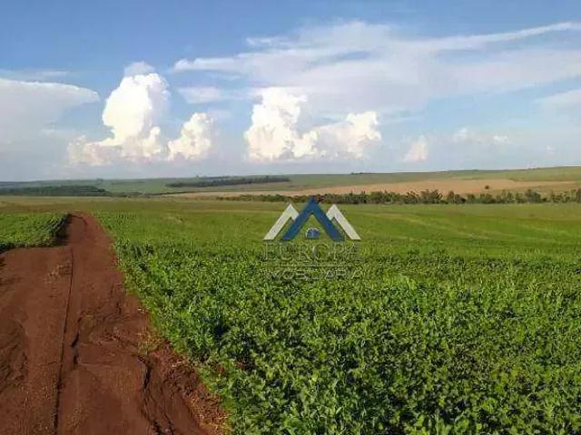 Fazenda venda em Região Geográfica Imediata de Londrina, Alvorada do Sul