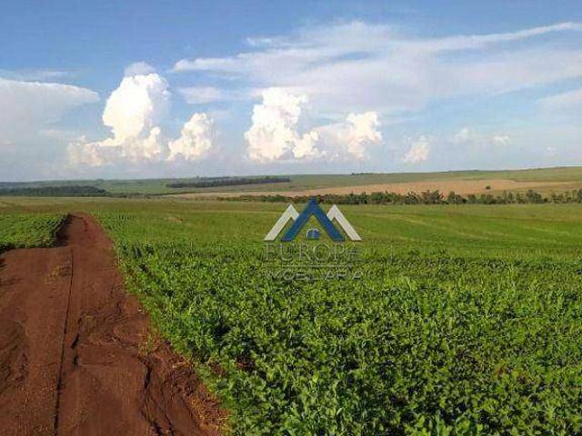 Fazenda venda em Alvorada do Sul, Região Geográfica Intermediária de Londrina