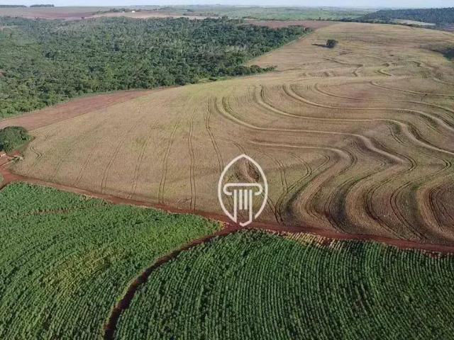 Fazenda venda em Região Geográfica Imediata de Londrina, Alvorada do Sul