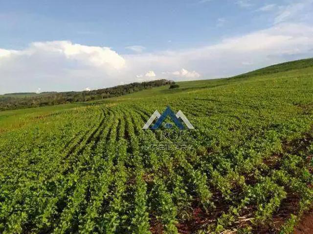 Fazenda venda em Região Geográfica Imediata de Londrina, Alvorada do Sul