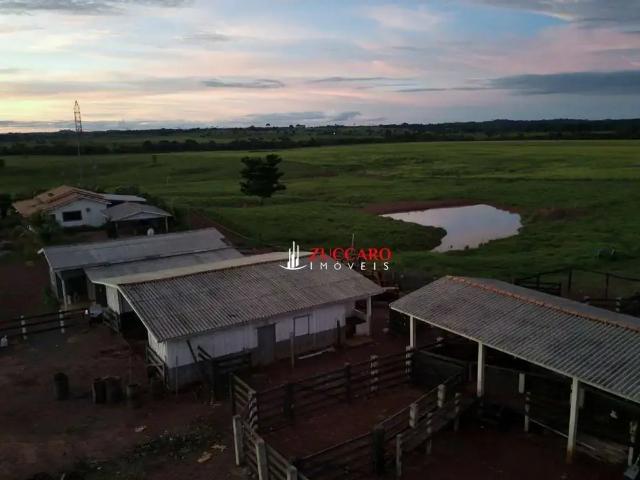 Fazenda venda em Região Geográfica Imediata de Ji-Paraná, Alvorada d'Oeste