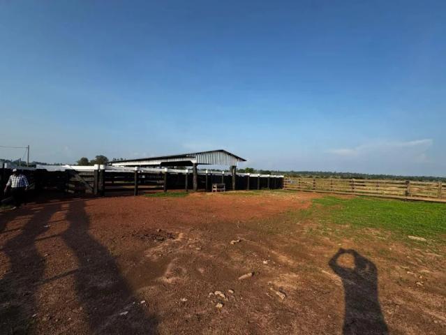 Fazenda venda em Alvorada d'Oeste