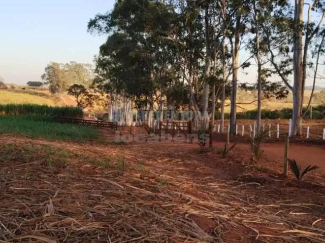 Fazenda venda em Região Imediata de Votuporanga, Américo de Campos
