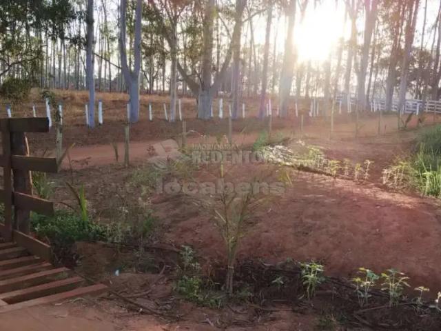Fazenda venda em Região Imediata de Votuporanga, Américo de Campos