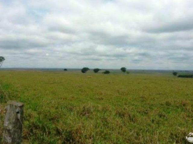 Sítio e chácara venda em Região Geográfica Imediata de Corumbá, Corumba