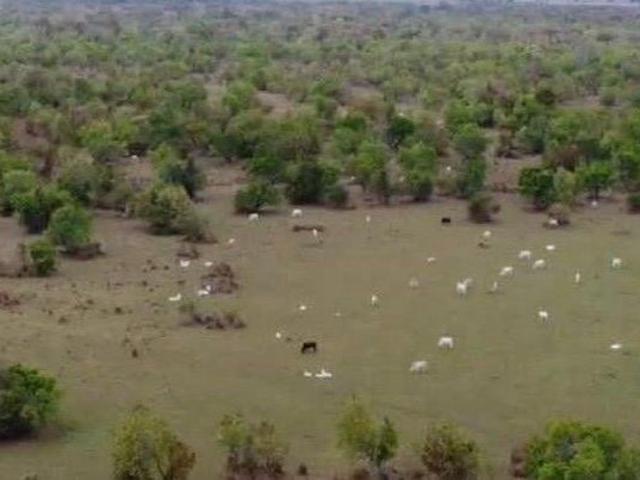 Sítio e chácara venda em Corumbá