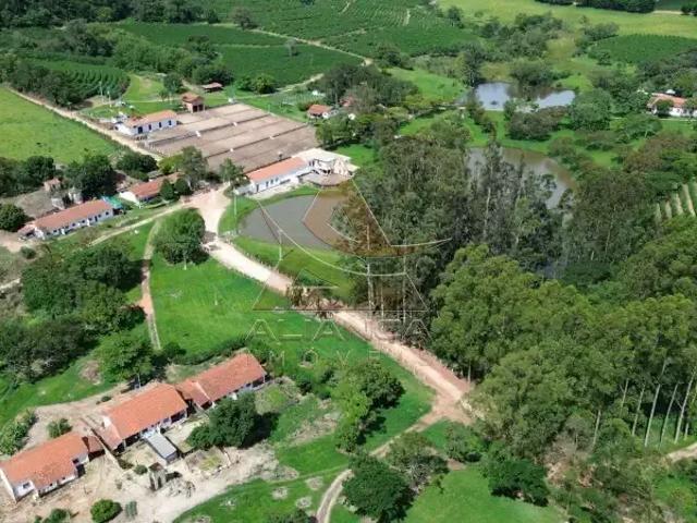 Fazenda venda em Região Imediata de Amparo, Amparo