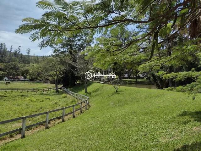 Fazenda venda em Região Imediata de Amparo, Amparo