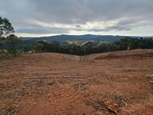 Fazenda venda em Região Imediata de Itapeva, Capão Bonito