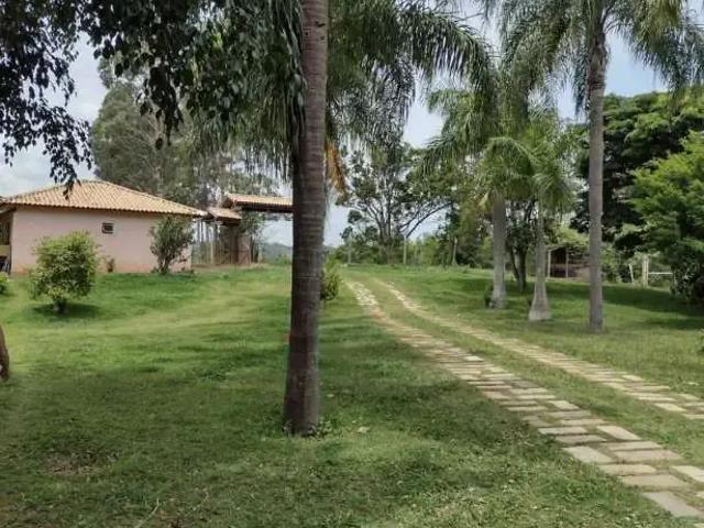 Fazenda venda em Região Imediata de Amparo, Amparo