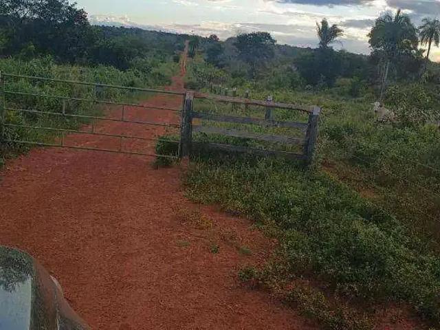 Fazenda venda em Região Imediata de Ribeirão Preto, Região Metropolitana de Ribeirão Preto