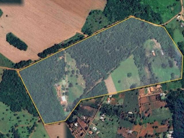 Fazenda venda em Anápolis, Joanápolis