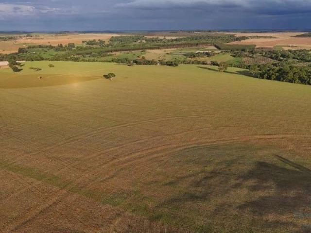 Fazenda venda em Anápolis, Jardim Alvorada