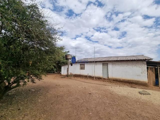 Fazenda venda em Região Geográfica Imediata de Anápolis, Anápolis