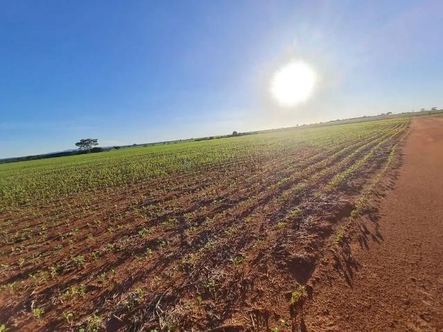 Fazenda venda em Setor Sul Jamil Miguel, Anápolis