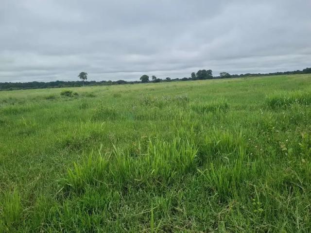 Fazenda venda em Região Geográfica Imediata de Anápolis, Anápolis