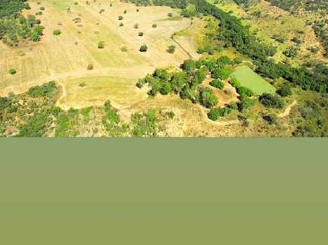 Fazenda venda em Anápolis, Florença