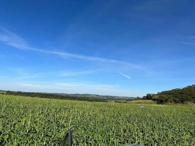 Fazenda venda em Região Geográfica Imediata de Anápolis, Anápolis