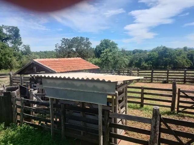 Fazenda venda em Região Geográfica Imediata de Aquidauana - Anastácio, Anastácio