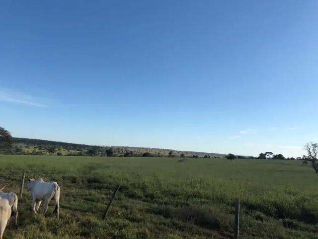 Fazenda venda em Anaurilândia