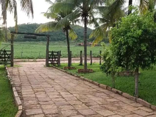 Fazenda venda em Região Geográfica Imediata de Itaberaba, Andaraí
