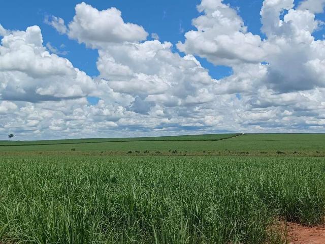 Fazenda venda em Região Imediata de Andradina, Andradina