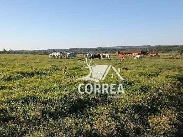 Sítio e chácara venda em Angatuba