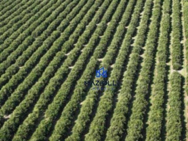 Sítio e chácara venda em Região Imediata de Itapetininga, Angatuba