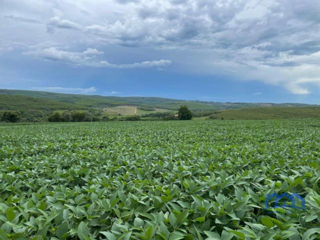 Fazenda venda em Angatuba, Região Geográfica Intermediária de Sorocaba