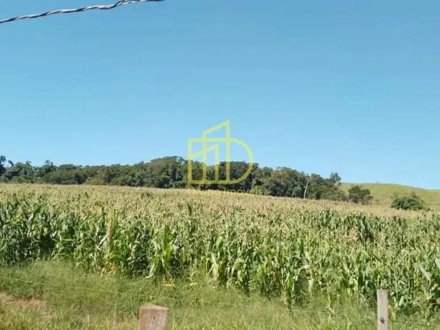 Fazenda venda em Angatuba