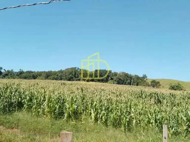 Fazenda venda em Região Imediata de Itapetininga, Angatuba