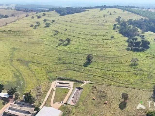 Fazenda venda em Região Imediata de Itapetininga, Angatuba