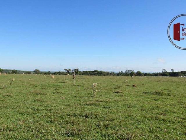 Fazenda venda em Região Imediata de Itapetininga, Angatuba