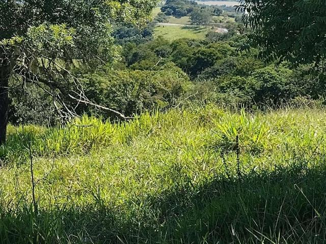 Fazenda venda em Região Imediata de Itapetininga, Angatuba