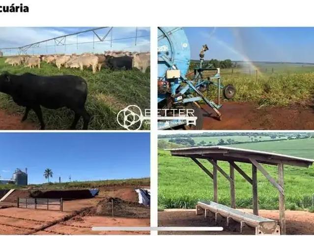 Fazenda venda em Região Imediata de Itapetininga, Angatuba