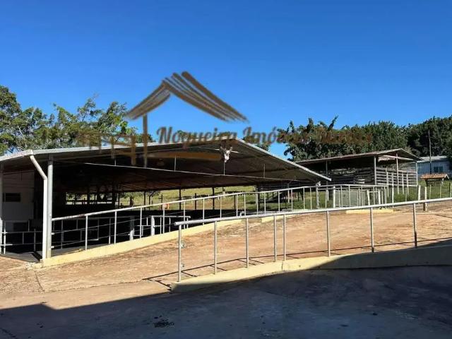 Fazenda venda em Região Imediata de Itapetininga, Angatuba
