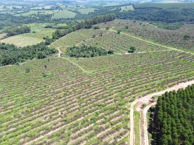 Fazenda venda em Região Imediata de Botucatu, Anhembi