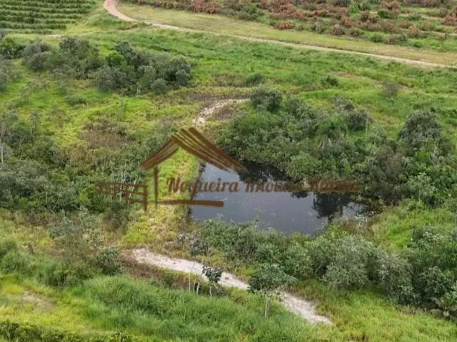 Fazenda venda em Região Imediata de Botucatu, Anhembi