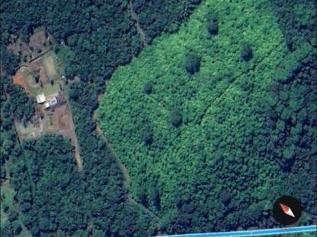 Sítio e chácara venda em Região Geográfica Imediata de Paranaguá, Antonina