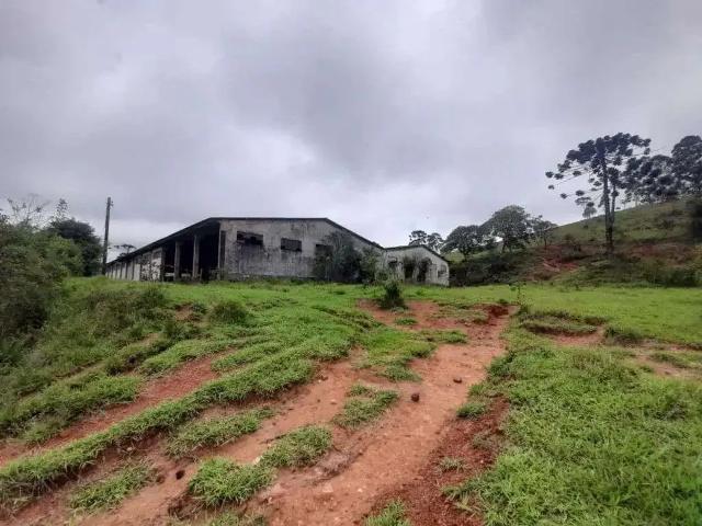 Fazenda venda em Região Geográfica Imediata de Alfenas, Alfenas