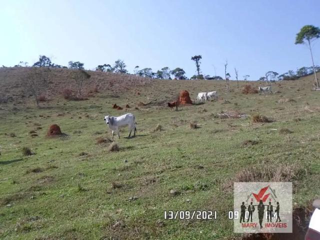 Fazenda venda em Região Geográfica Imediata de Alfenas, Alfenas